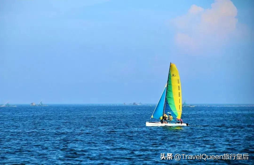 动物森友会无人岛一天可以去几次,动物森友会所有虫类图鉴