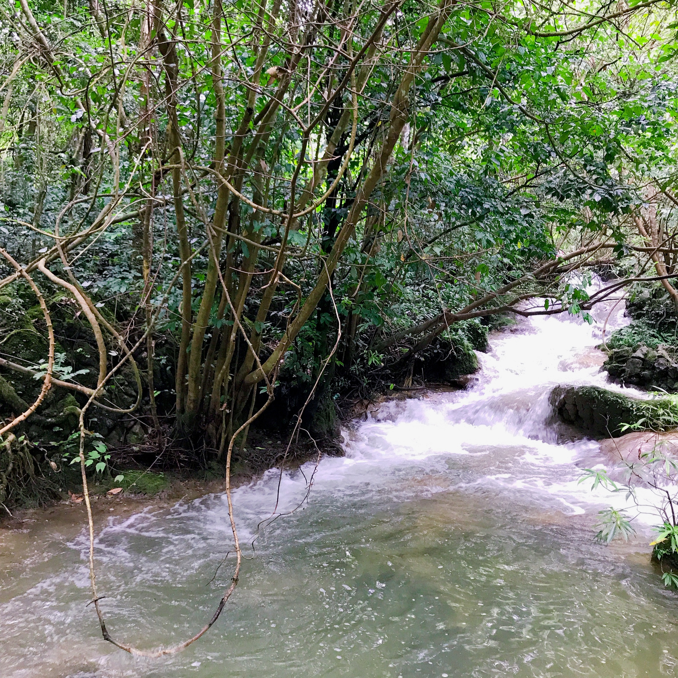 自驾游荔波小七孔旅游攻略,荔波小七孔游记600字