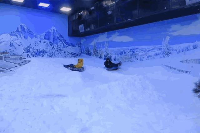 河源巴伐利亚度假公寓,恩平途家斯维登度假公寓