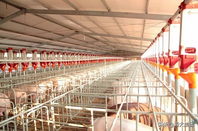 农民日报养殖视频,农民日报农民能挣多少钱