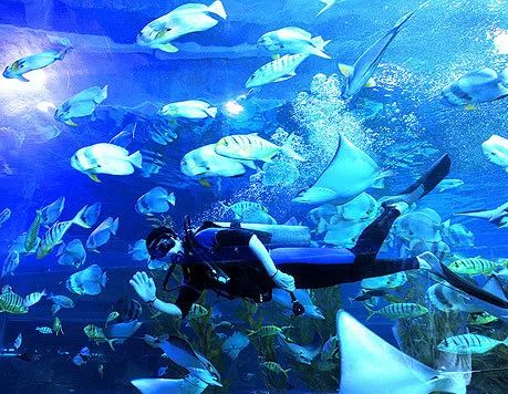 八大主题海洋乐园,全球十大不可思议的水上乐园