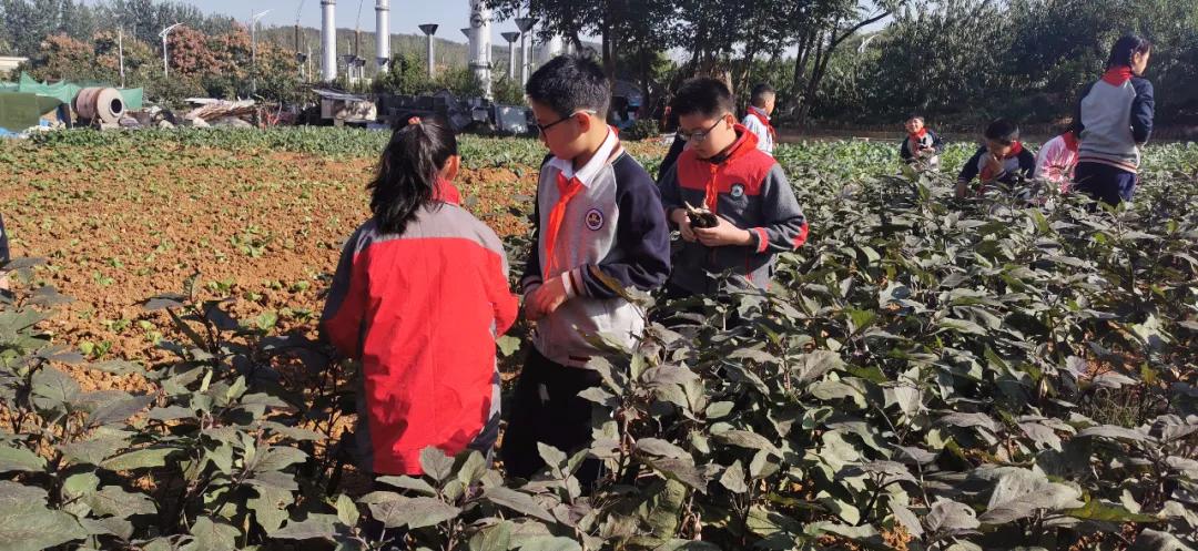 南京大学金陵小学怎么样,南京金陵小学仙林湖校区学费