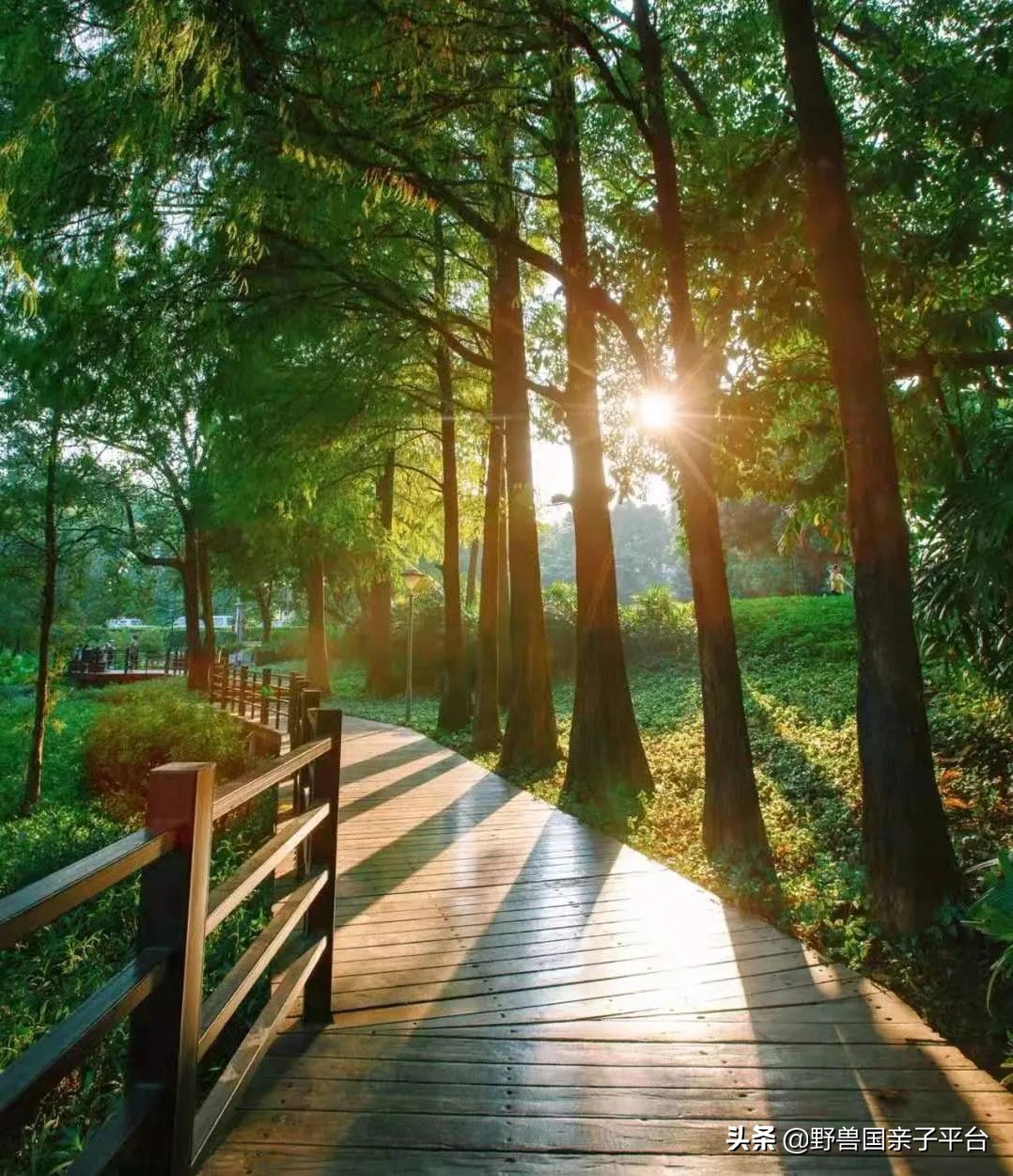 广州遛娃旅游推荐路线攻略,广州遛娃清单升级版