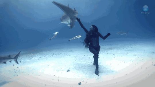 来大姨妈去潜水会怎样,自由潜水会不会遇到鲨鱼