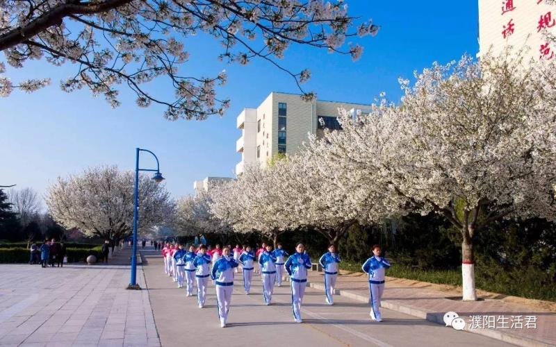 濮大樱花谢了吗,濮大樱花位置