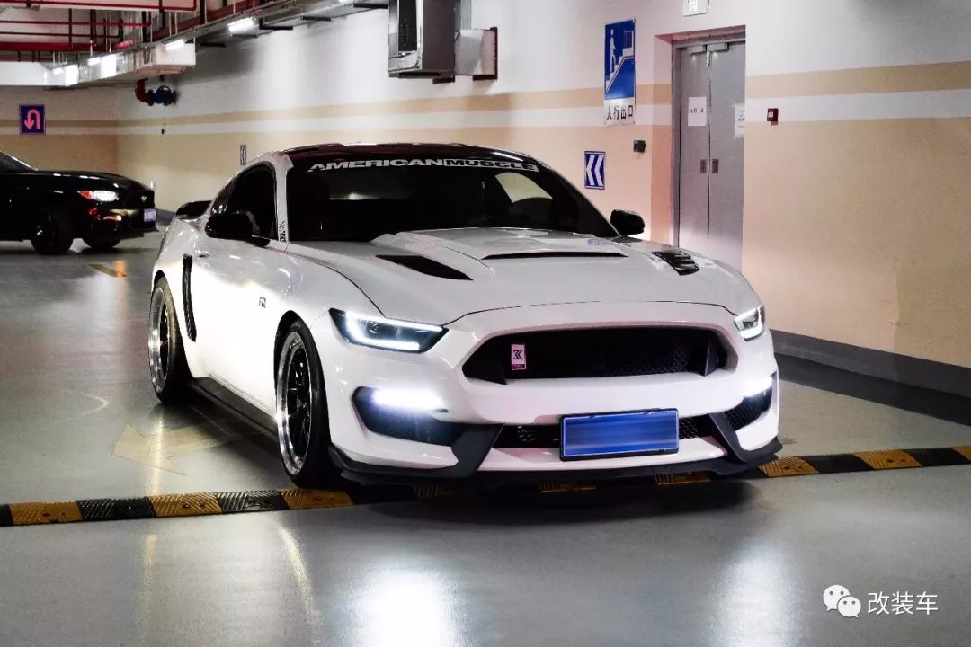 福特mustang杭州,杭州福特野马车友会