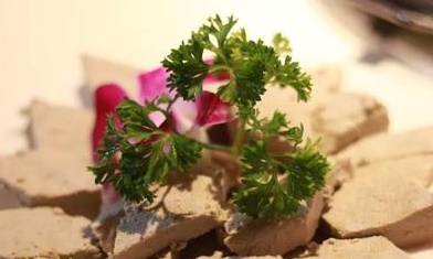 排队才能吃到的美食,排队美食