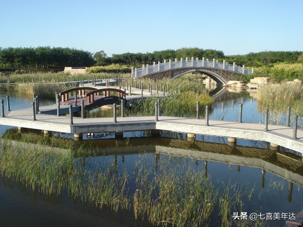 天津塘沽春游踏青好去处,天津周边春天好去处