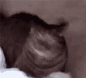 化妆师综艺陈都灵,陈都灵认出化妆师