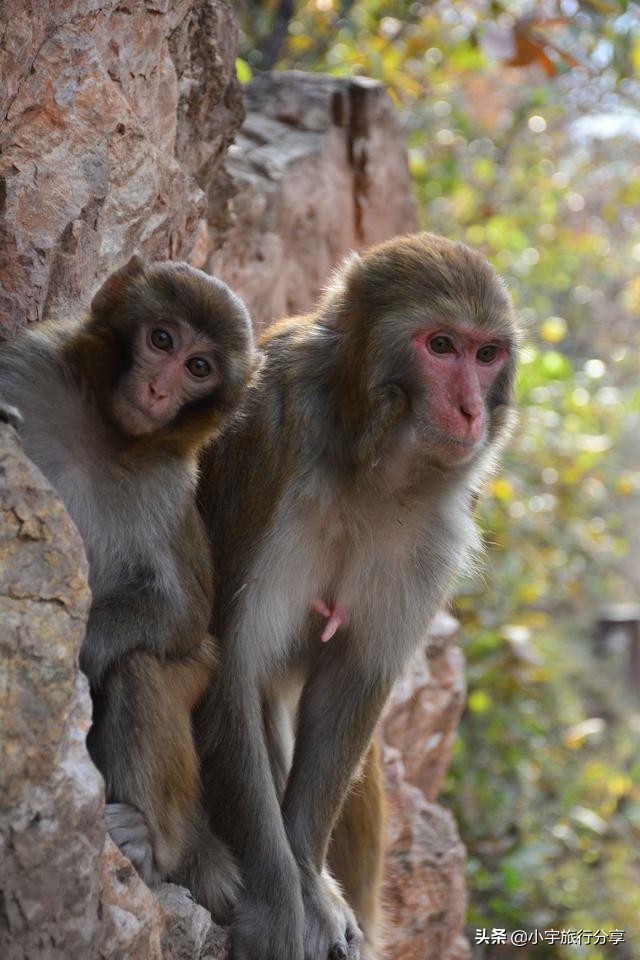郑州免费旅游景点推荐一日游攻略,郑州冷门旅游景点推荐一下