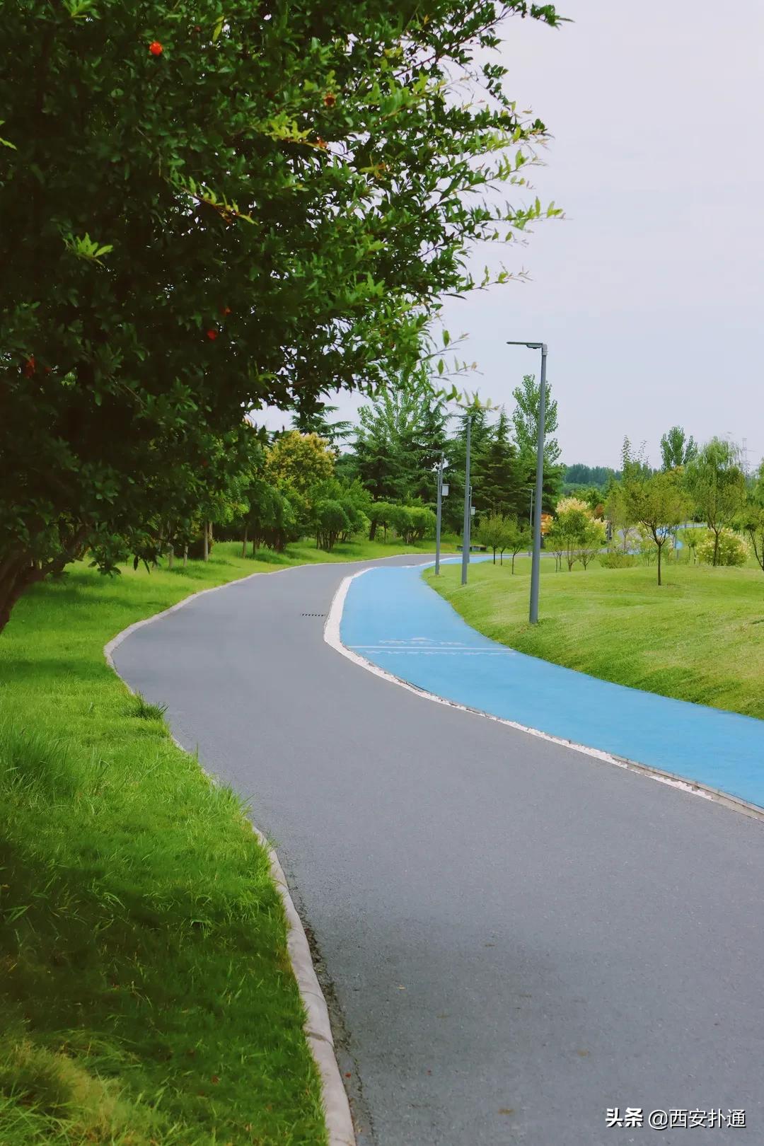 西安大草坪公园推荐,西安有大草坪的公园