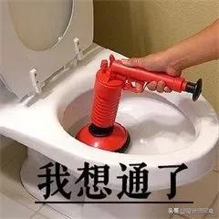 马桶和蹲厕哪个好,蹲厕好还是马桶好