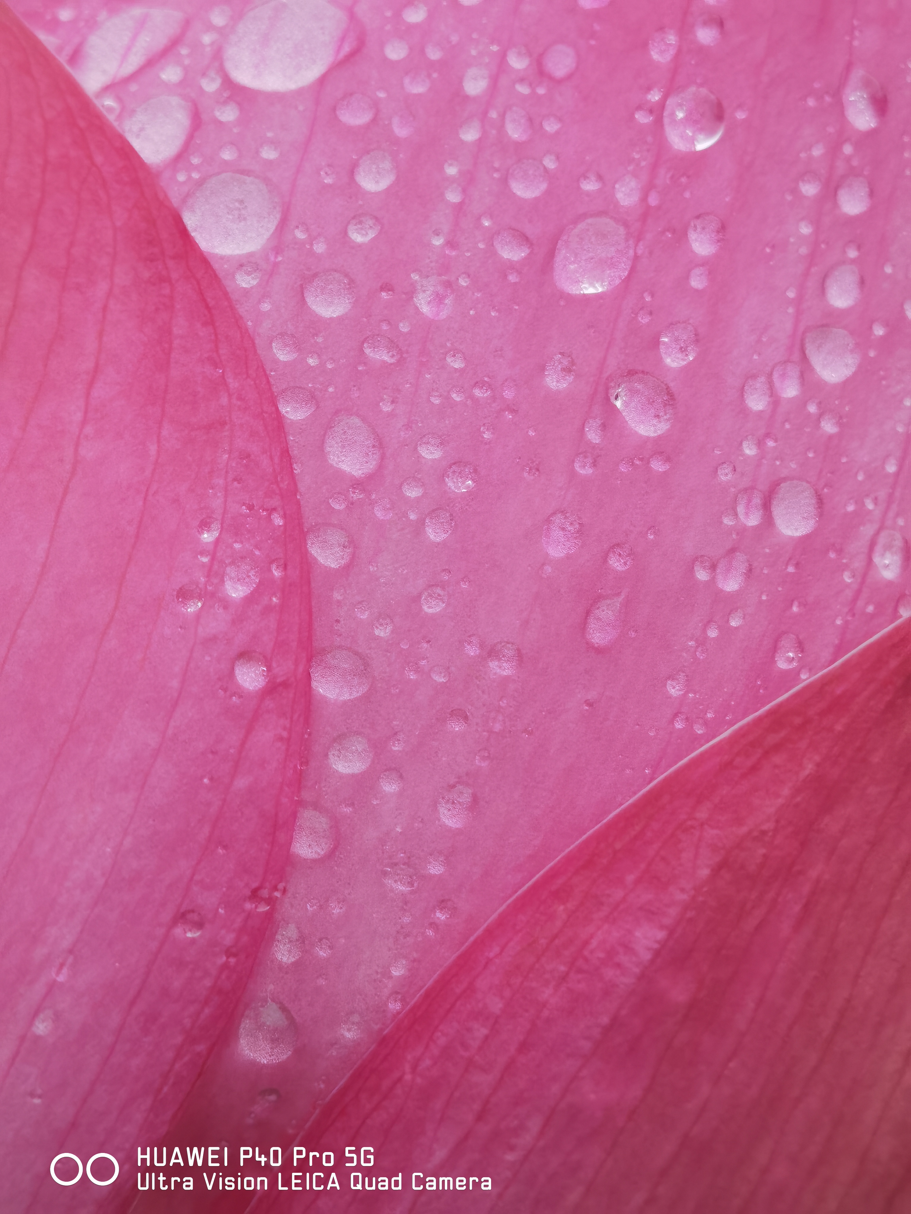 华为p50pro实测,华为p50pro变焦测试