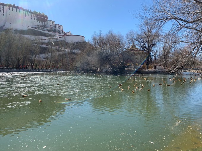 冬天去拉萨的感受,在拉萨几点晒太阳最舒服