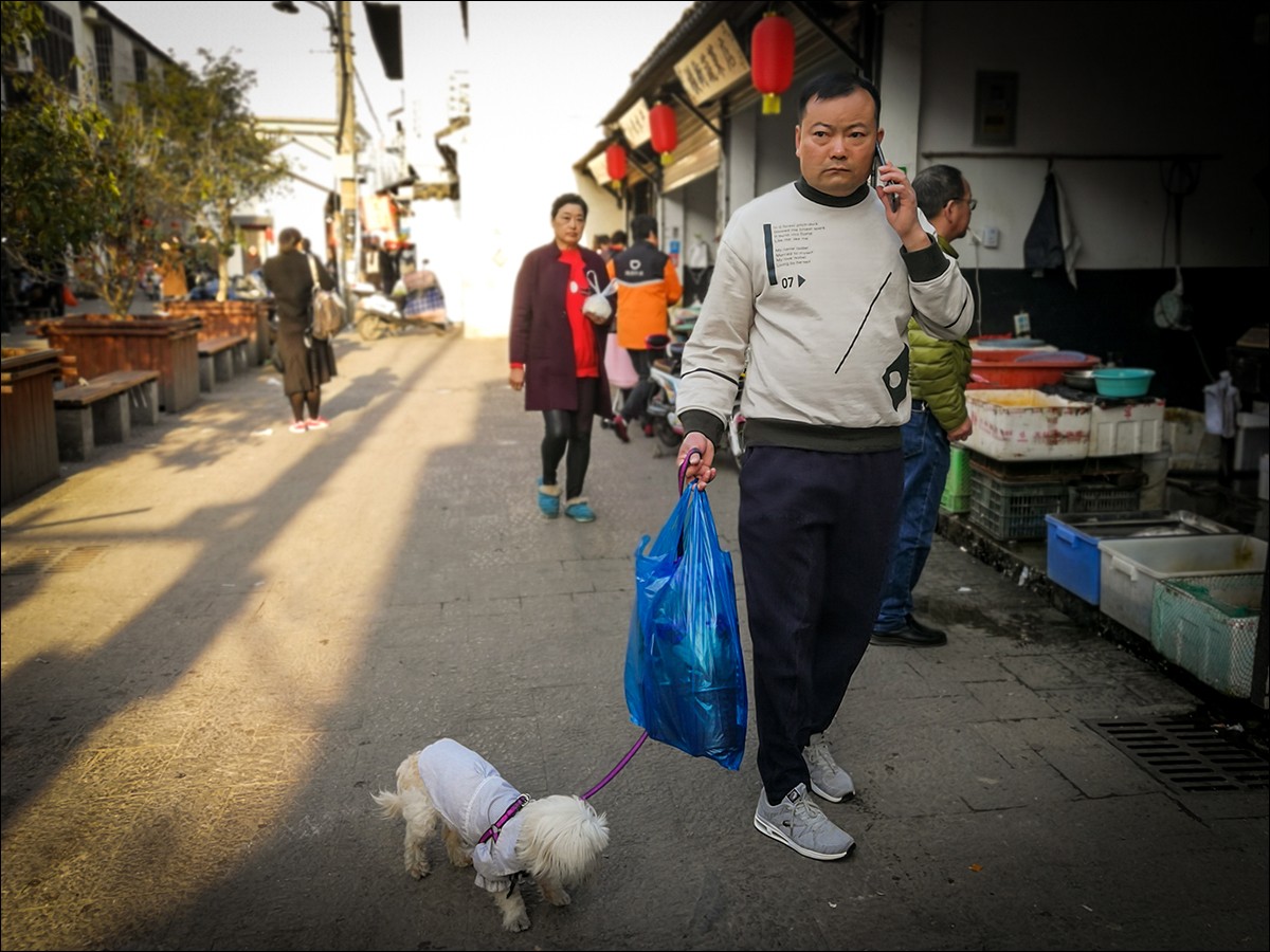 华为p30和华为p10plus谁好,华为p30系列发布