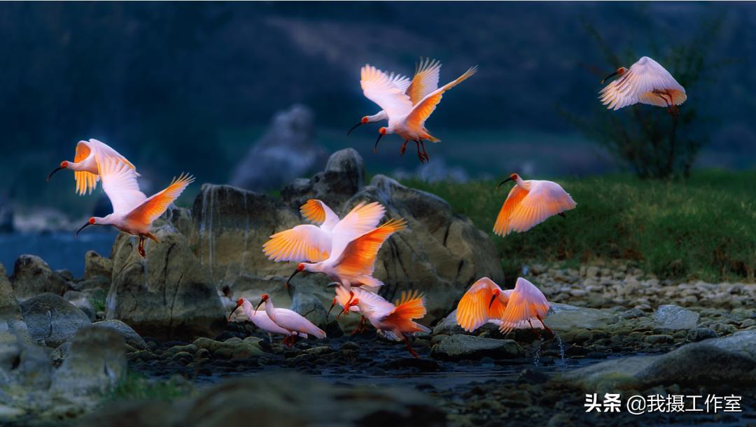 第16届国际摄影艺术展获奖作品,第29届全国摄影艺术展览作品集