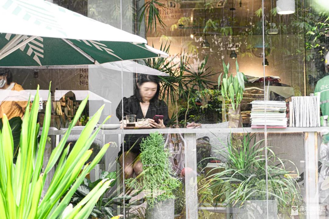 华侨城一期西区,华侨城发展历程