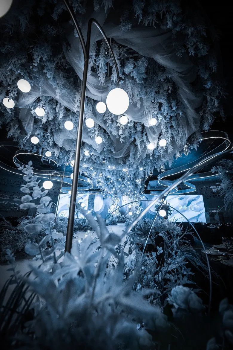 一场神秘浪漫的星空的婚礼,神秘浪漫的蓝色星空婚礼