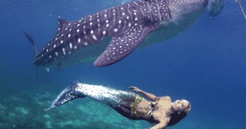 有个岛国，比美马代，比海南便宜，机票500起！