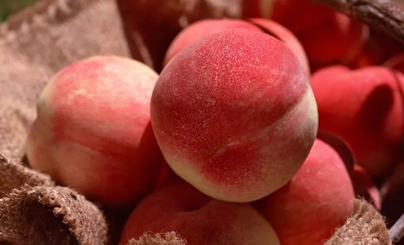 桃子放冰箱更容易坏吗,桃子放冷藏里为什么很快就坏了