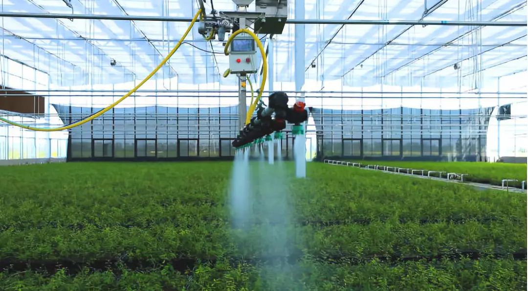 如何将软籽石榴从农田推广到市场,会种也会卖如何拿下软籽石榴市场