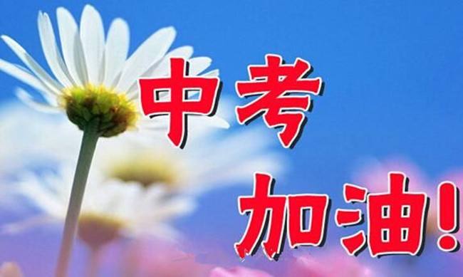 中考必掌握的知识点各科,中考必备的100个秘诀