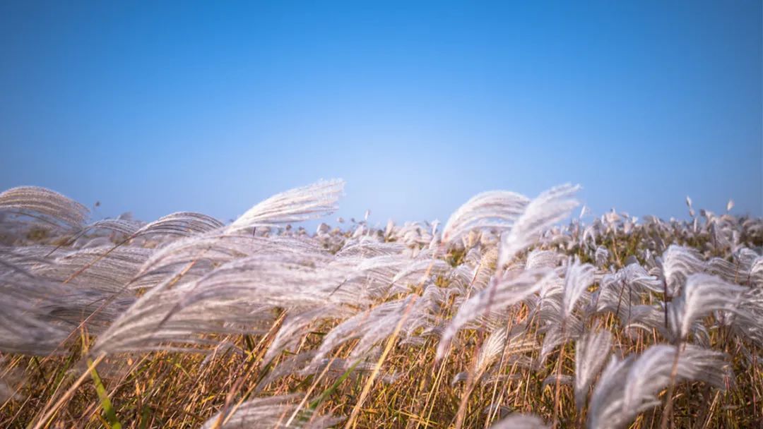 山东这两座小城，集齐了所有令人向往的美景，超级适合自驾！