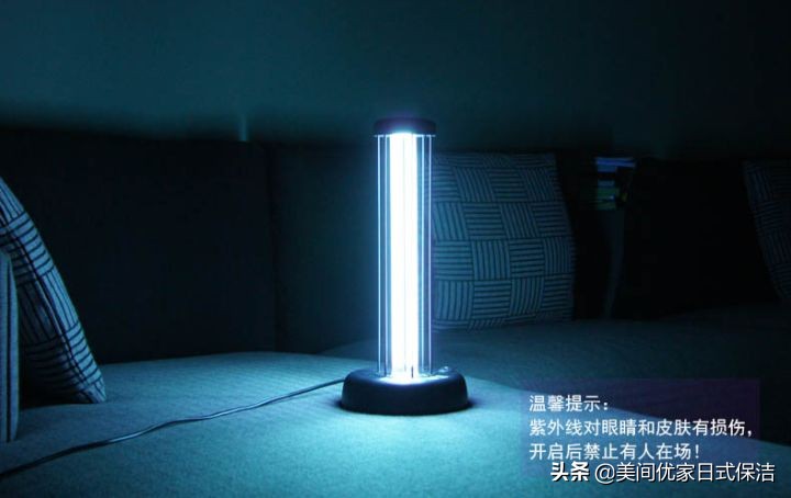 家居常见虫图片大全,家居虫类科普图文