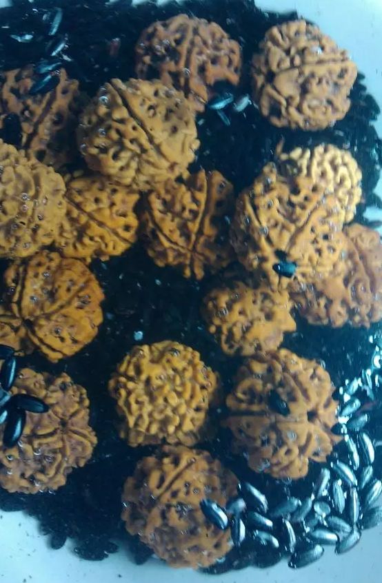 神明液体+鸡蛋+核桃油+白醋！上锅焖2个小时！让人大吃一惊