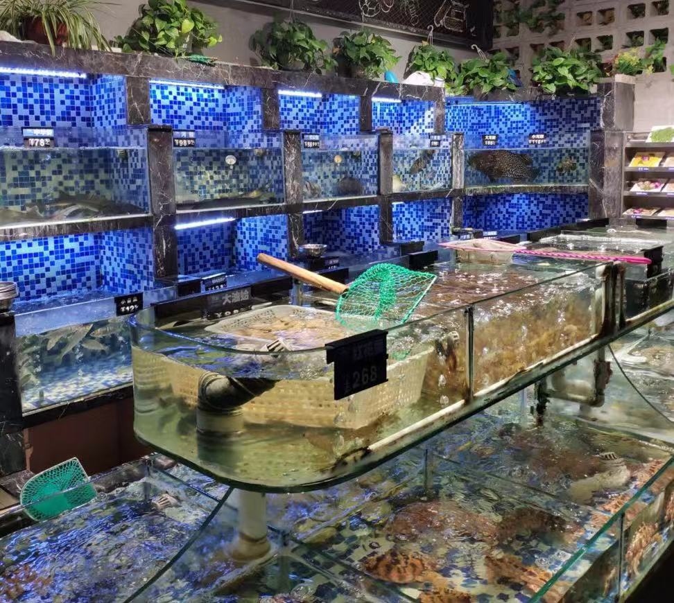 品尝厦门最美味的海鲜大餐,探索厦门风光体验海鲜盛宴