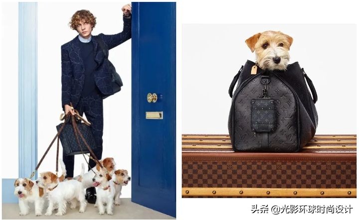 凡尔赛文学背后的秘密,凡尔赛文学大合集