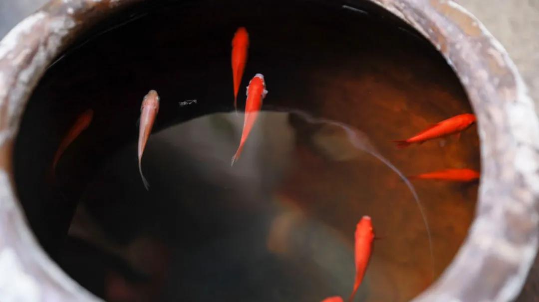 华大学生街藏了10年的古厝餐厅，吃一口都是外婆家味道