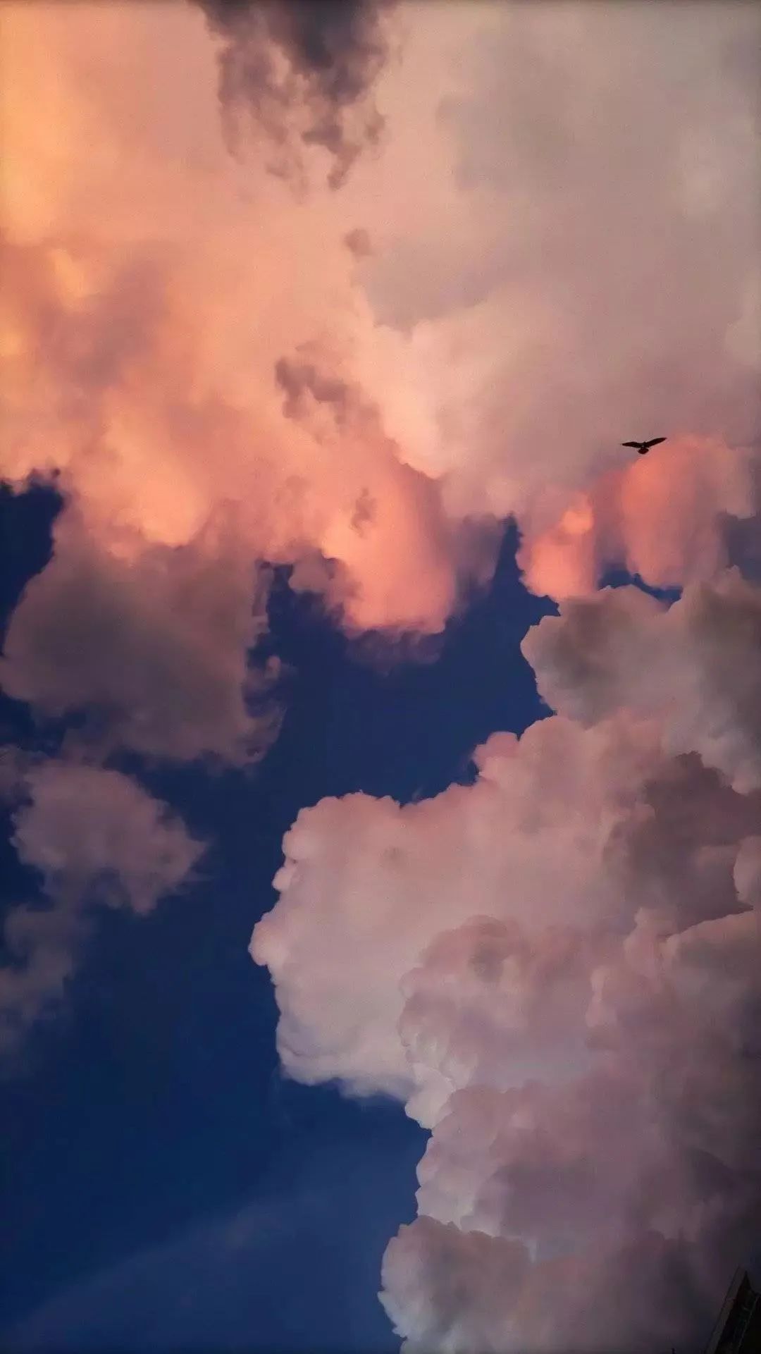 谷爱凌图片高清壁纸,周杰伦图片高清壁纸