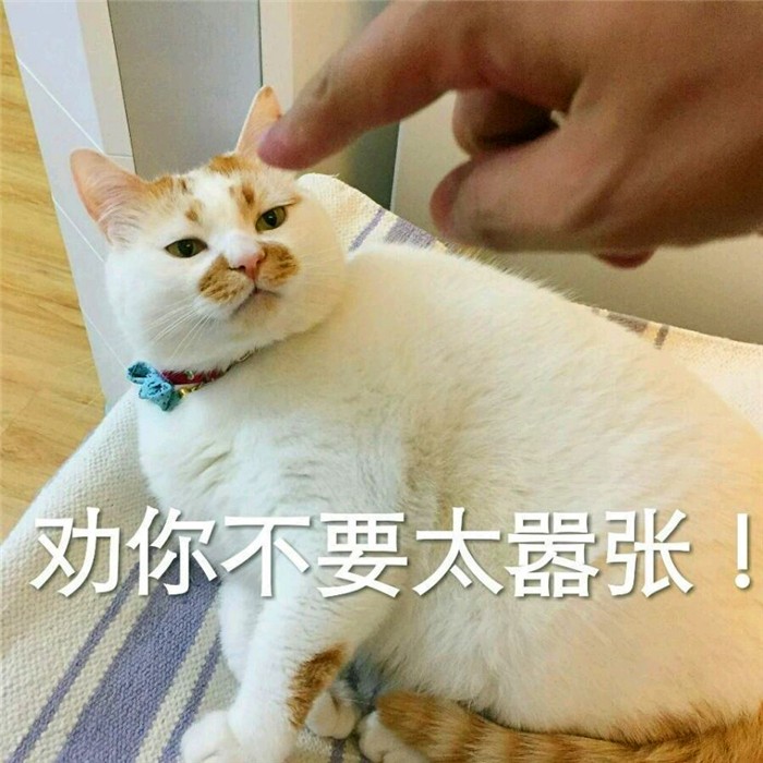 打猫教育,怎么打猫能让猫咪不能伤到你