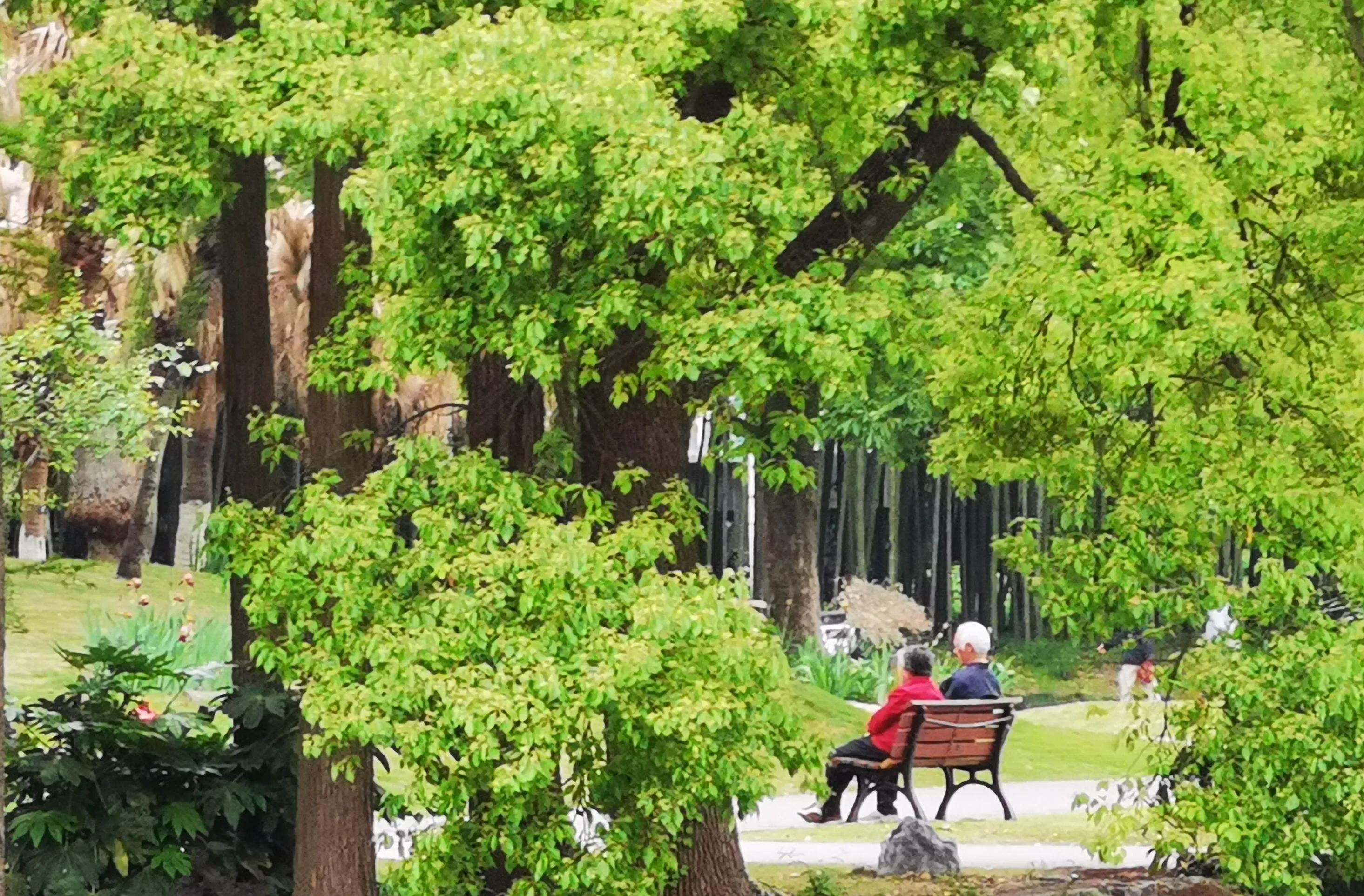 手机摄影手册圈友作品选第5期,手拍世界摄影交流平台