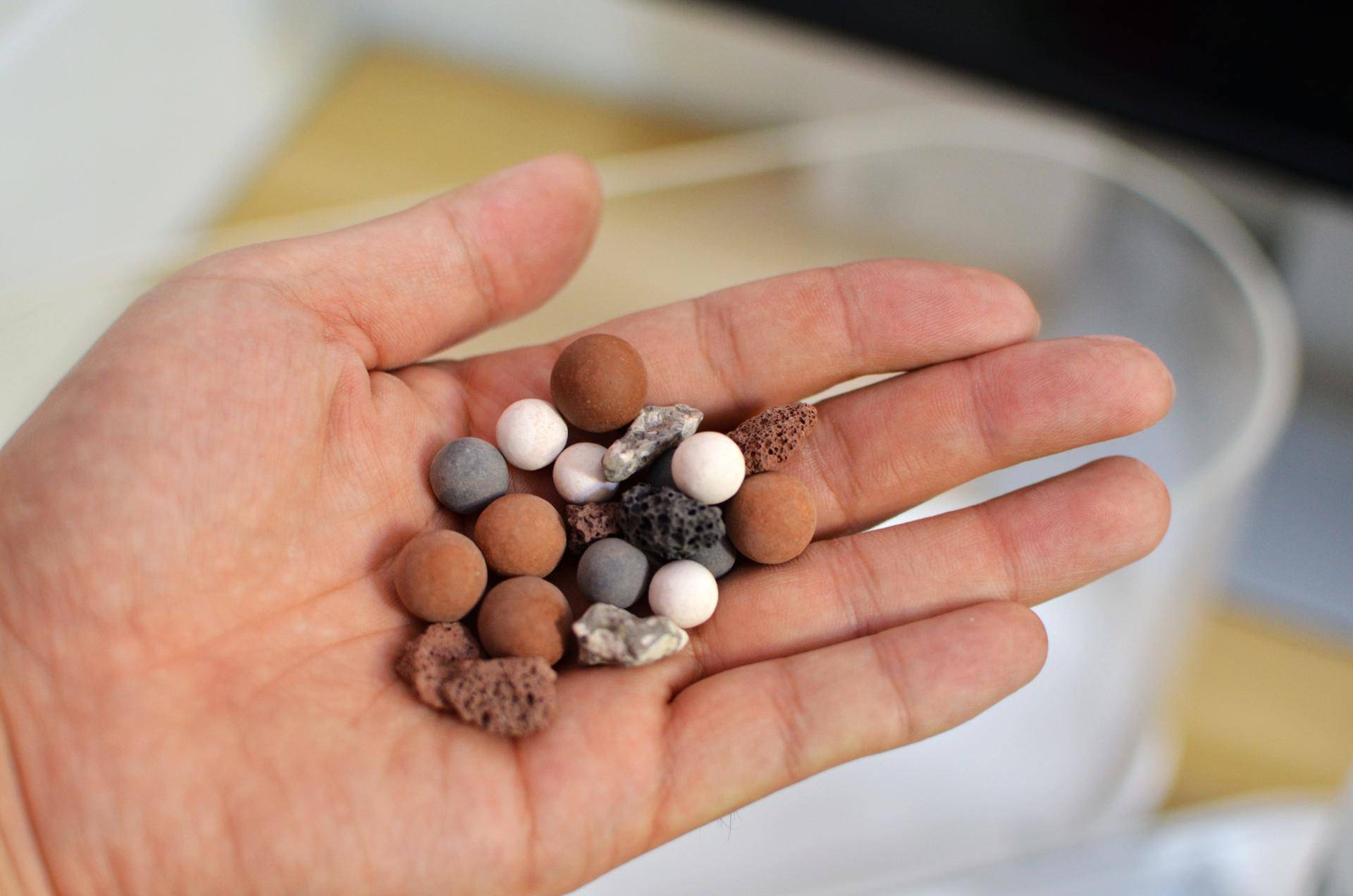 懒人鱼缸养鱼,懒人能养鱼吗