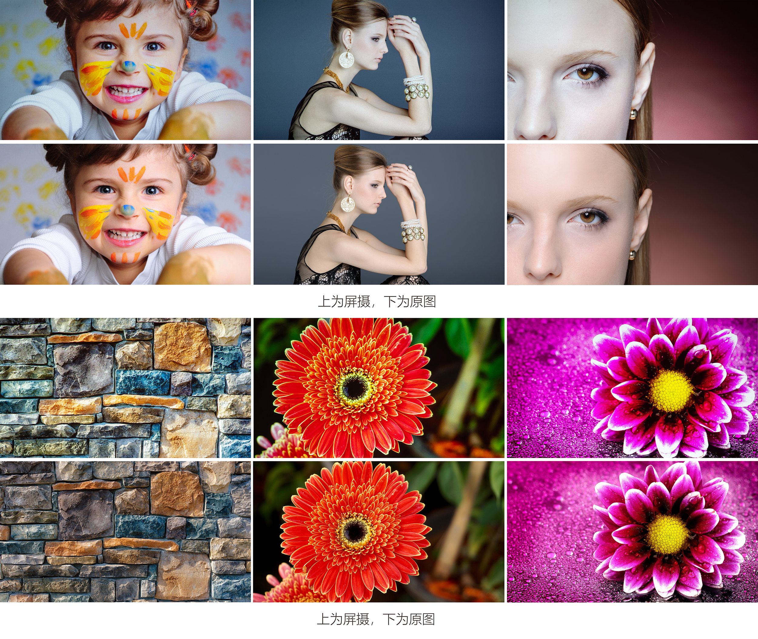 智能投影幕布,微投影坚果