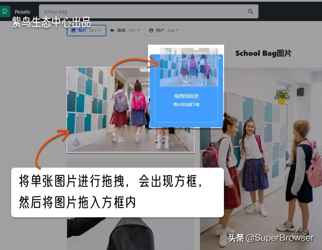 想要批量*载下**图片?这2个宝藏工具帮你搞定