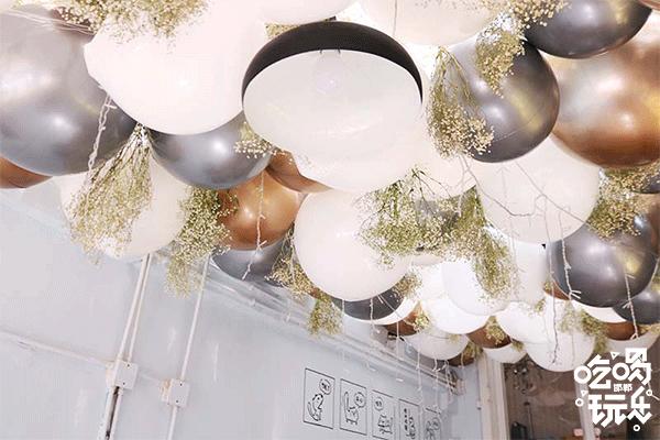 软萌暴击！邯郸这家高颜值猫咖上线，“吸猫”终于提上日程！