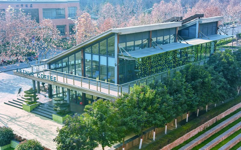 河南民办高校（本科）大起底：野花儿香，能采不？