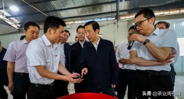 茶写佳话,潜心种茶写佳话