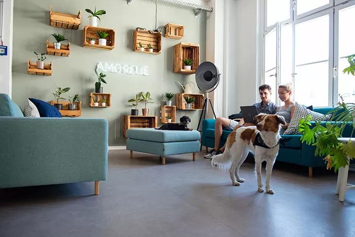 创业卖情趣用品，到底有多难？