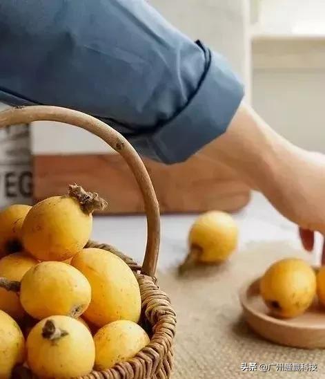 溯源农产品管理系统,溯源系统销售费用