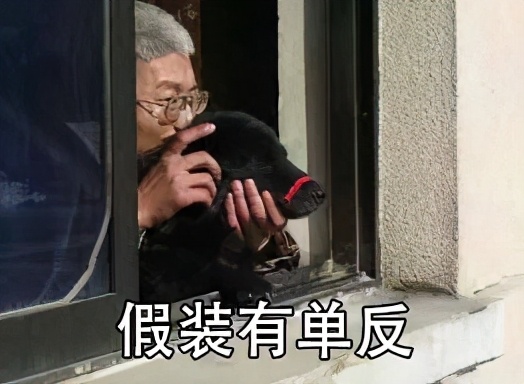 用了三年的索尼相机,索尼zv-1vlog相机评测