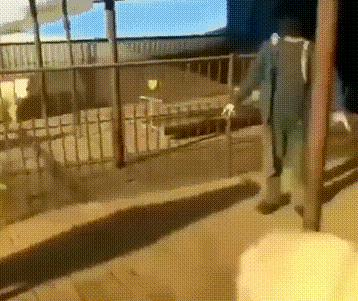 当一个男孩子不断给你制造惊喜时,当一个男孩感到恐惧