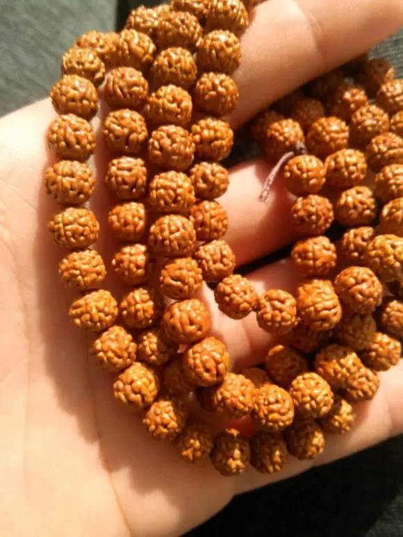 小金刚菩提最终是怎么样的,小金刚菩提子怎么看是真是假