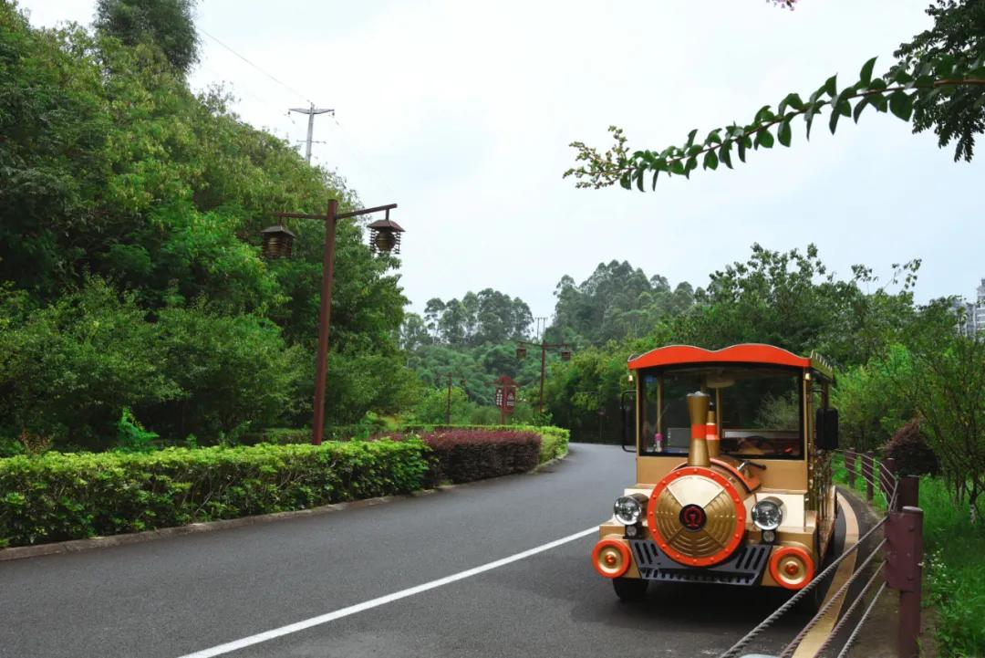 绿心公园5月3号有什么活动,绿心公园花开了好漂亮