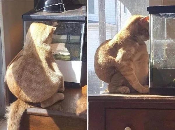 俄罗斯金刚芭比娜塔莉 (俄罗斯金刚芭比肌肉爆裂)