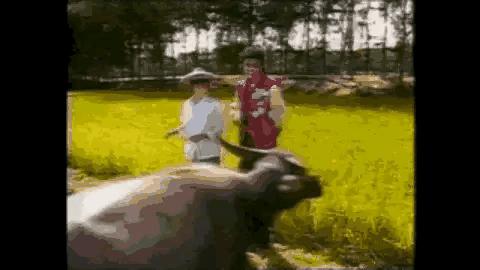 中山迈克尔杰克逊,迈克尔杰克逊跟中山老太太合影