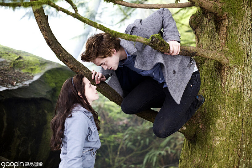 从怦然心动到破镜重圆，这个520，你想说的都在这些电影里